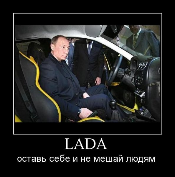 Приколы про Весту