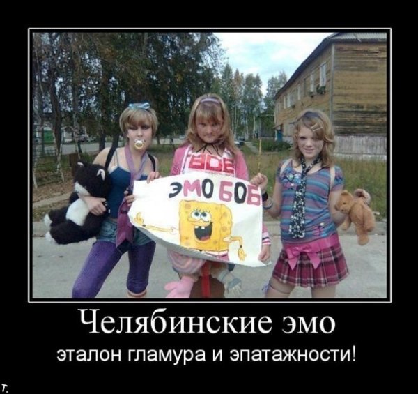 Демотиваторы 2007