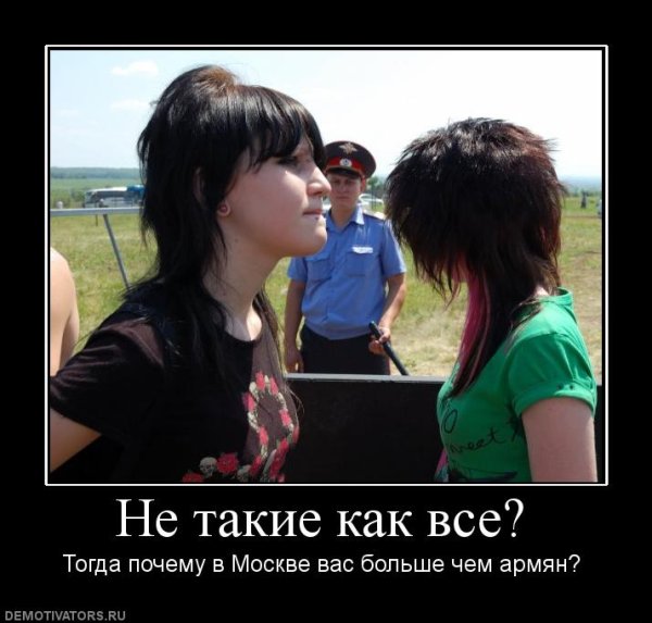Демотиваторы 2007