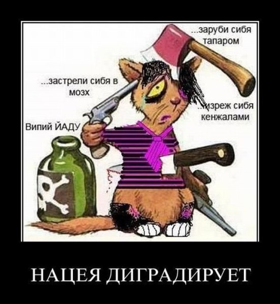 Демотиваторы 2007