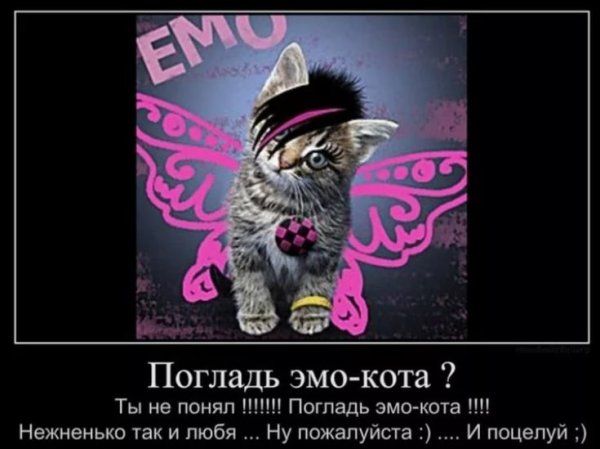 Эмо кот