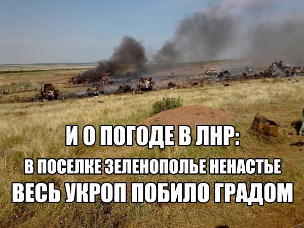 Мемы про укропов