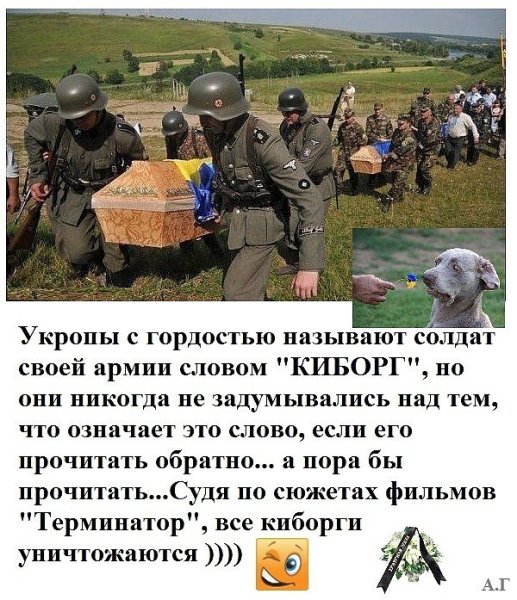 Укропы