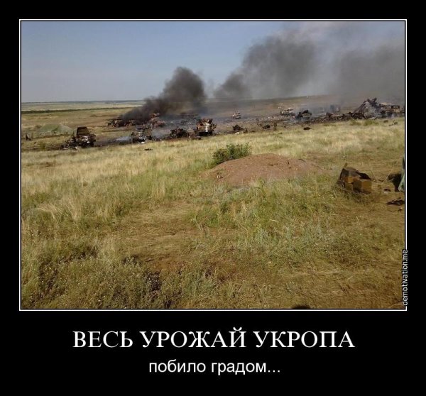 Военное поле