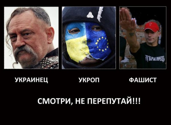 Украинцы хохлы