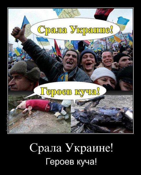 Украина хохлы