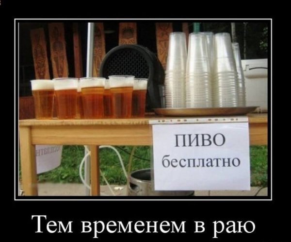 Демотиваторы про пиво