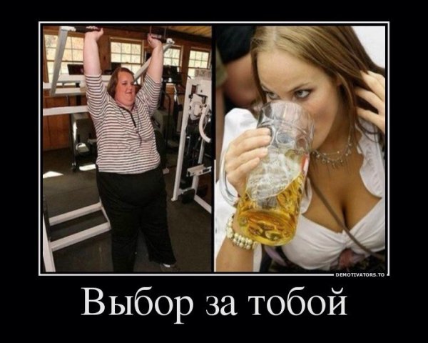 Выбор демотиватор