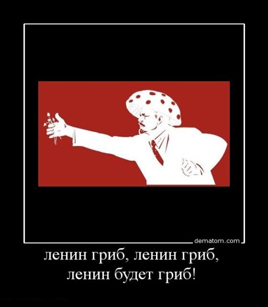 Ленин Владимир Ильич гриб