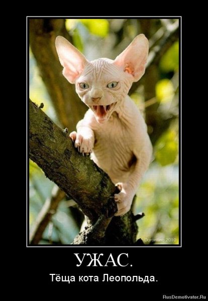 Демотиваторы страшилки