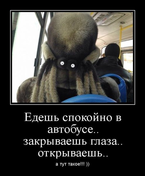 Демотиваторы самые злобные