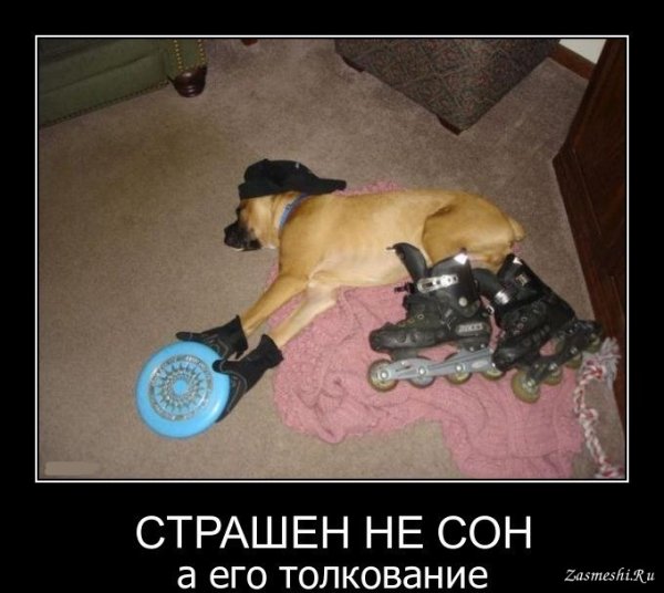 Маразм демотиватор