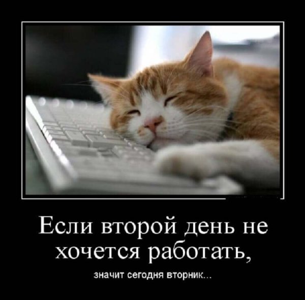 Шутки про вторник