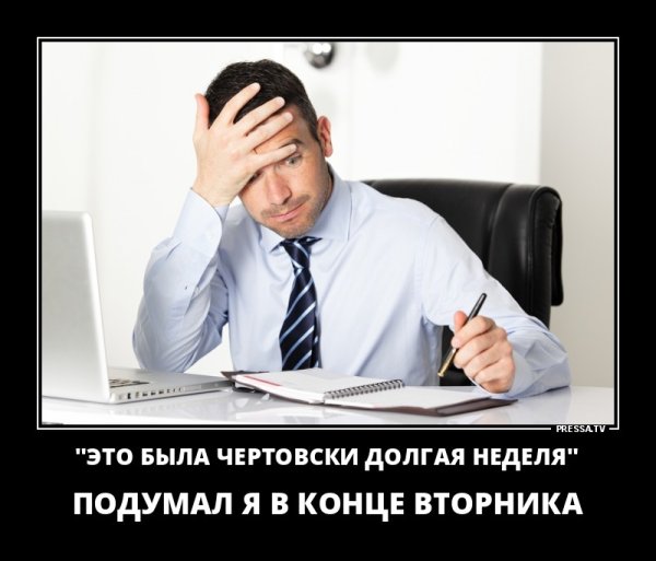 Вторник демотиваторы смешные