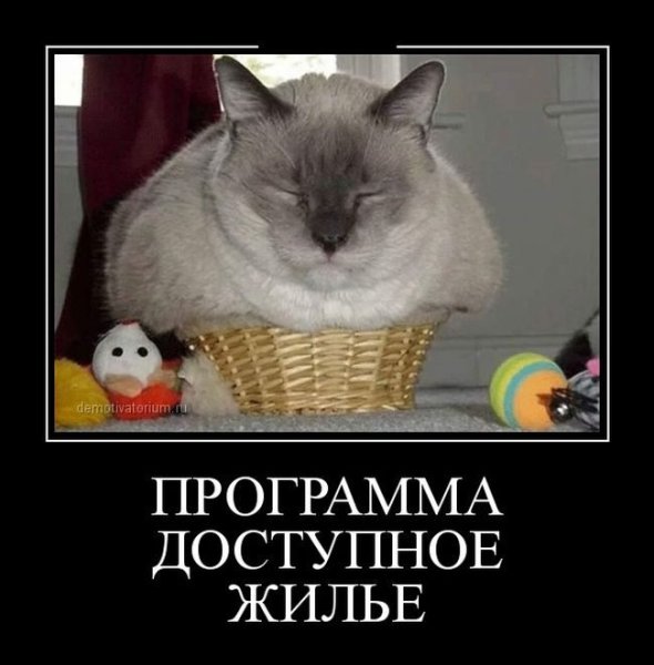 Вторник демотиваторы смешные