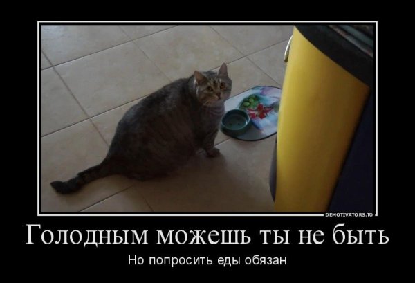 Анекдот про вторник