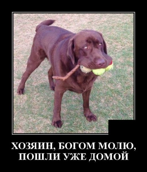 Анекдот про вторник