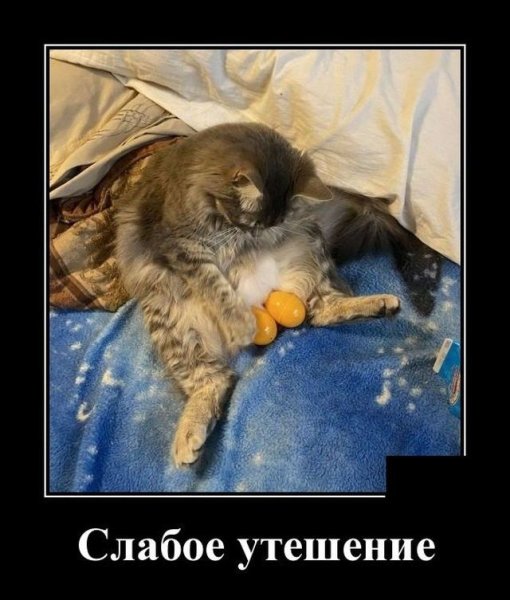 Смешное про понедельник