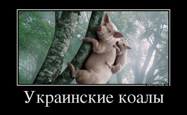Демотиваторы про вторник