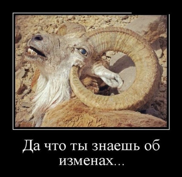 Демотиваторы вторник картинки
