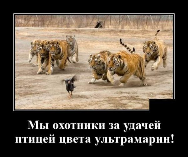 Отговорки приколы