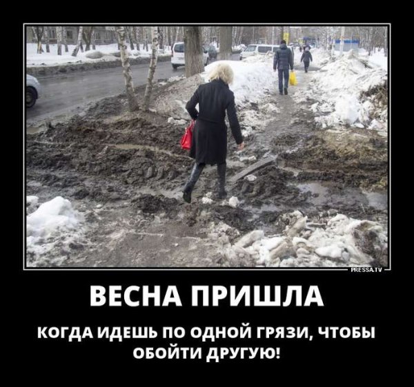 Демотиваторы на злобу дня