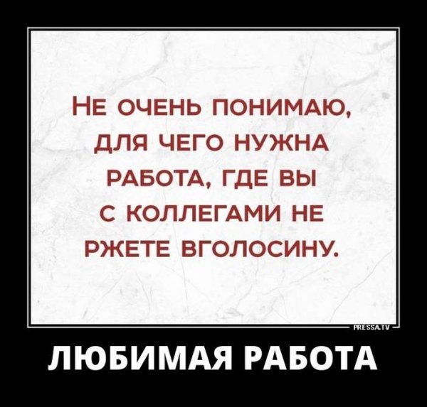 Клятва Гиппократа прикол
