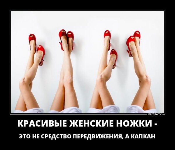 Актуальные демотиваторы