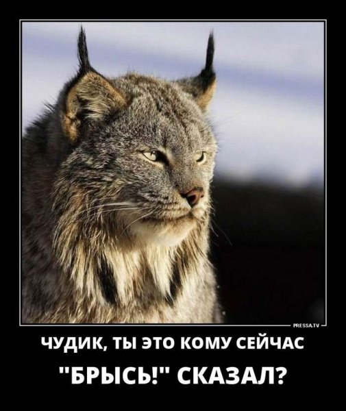 Демотиваторы ЖКХ