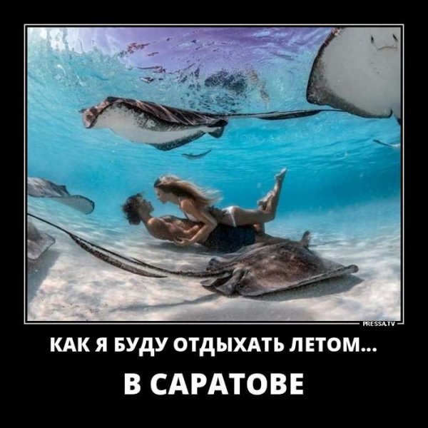 Новости демотиватор