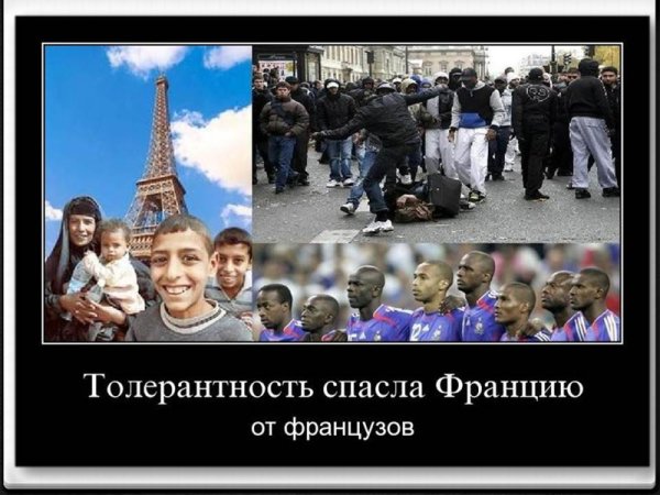 Толерантность демотиваторы