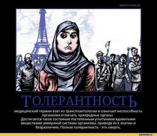 Толерантность демотиваторы