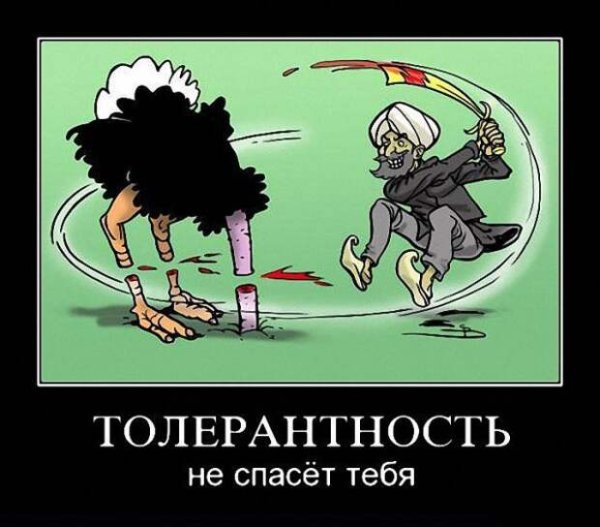 Толерантность прикол