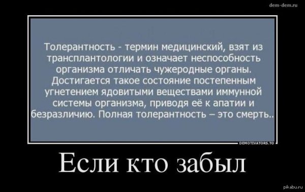 Толерантность демотиваторы
