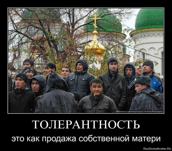 Против толерантности