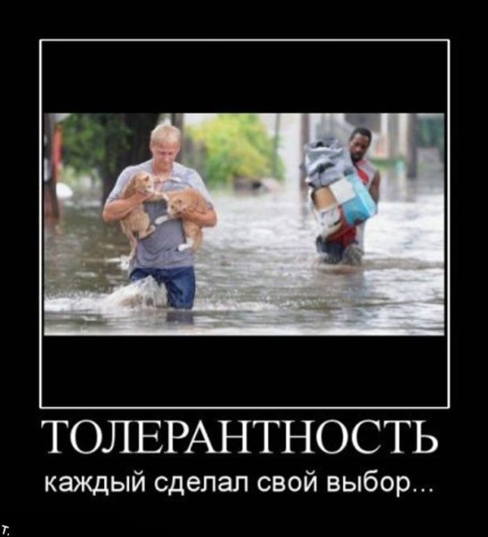Мемы про толерантность