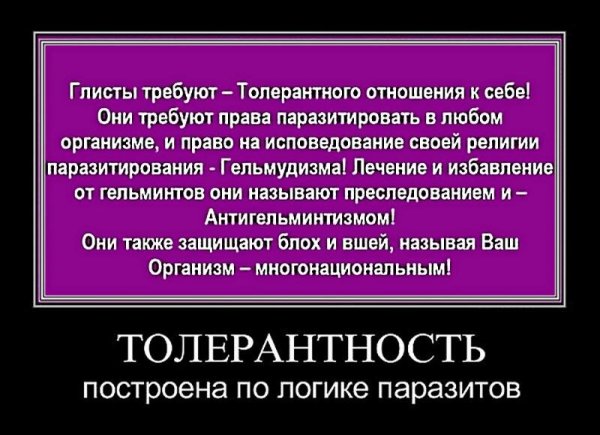 Толерантность демотиваторы юмор