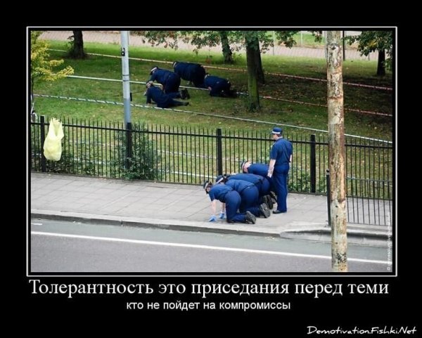Толерантен демотиватор