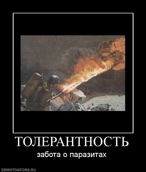 Шутки про толерантность