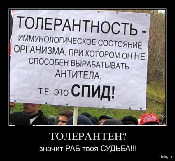 Шутки про толерантность