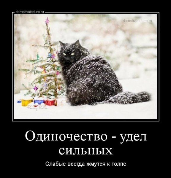 Одиночество юмор