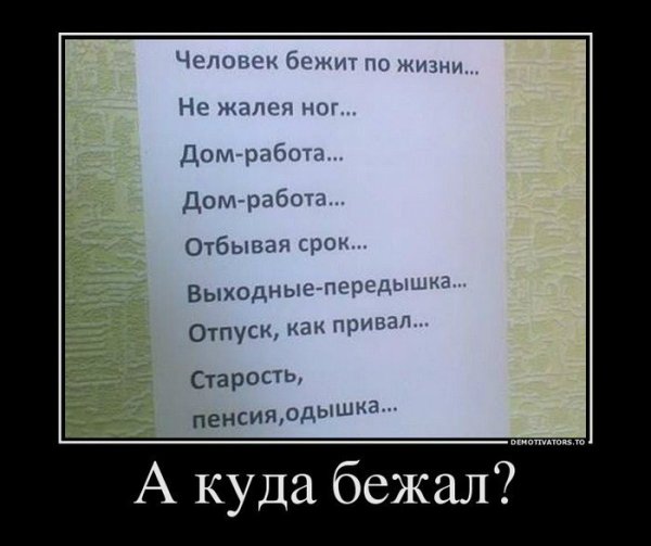 Приколы про жизнь