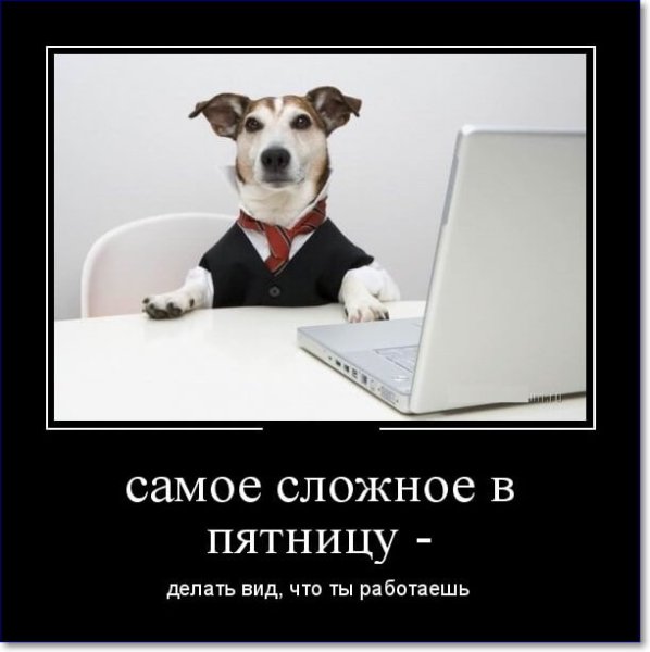 Анекдоты про пятницу в картинках