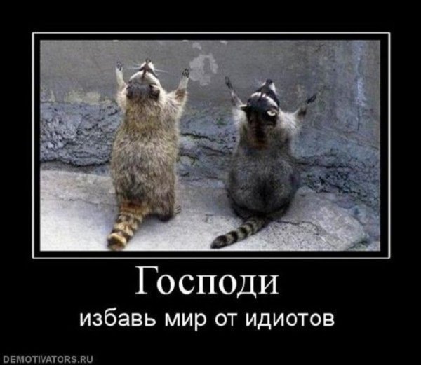 Господи Спаси мир от идиотов