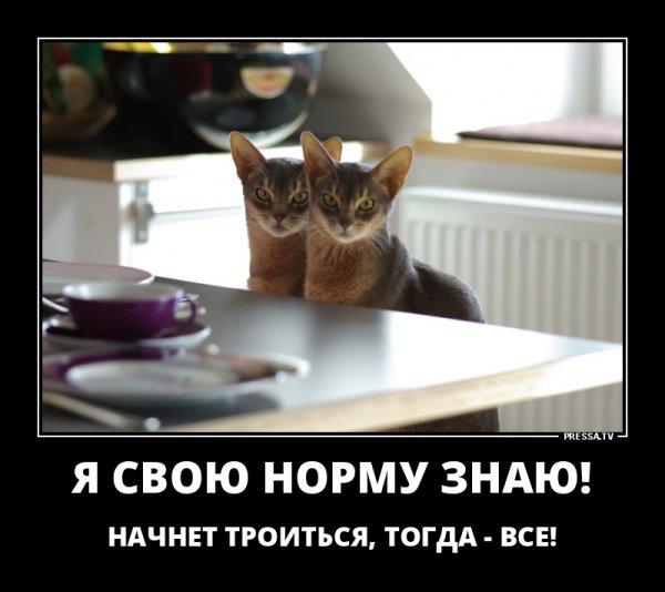 Водка в трехлитровых банках