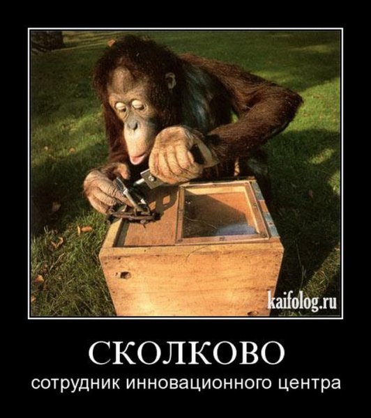 Смешные демотиваторы Сколково