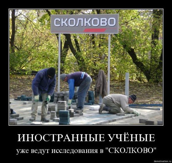 Сколково приколы