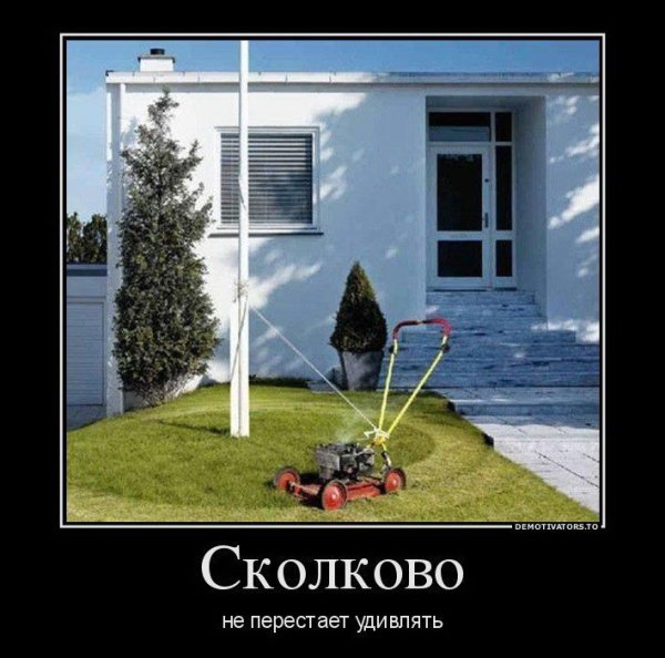 Сколково демотиваторы