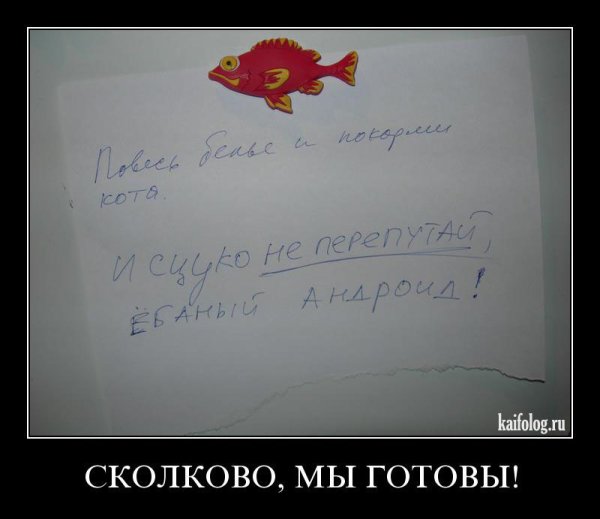 Прикольные надписи про Сколково