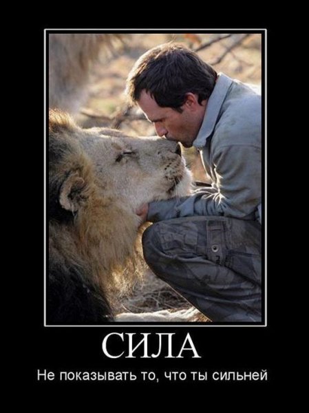 Сильные демотиваторы